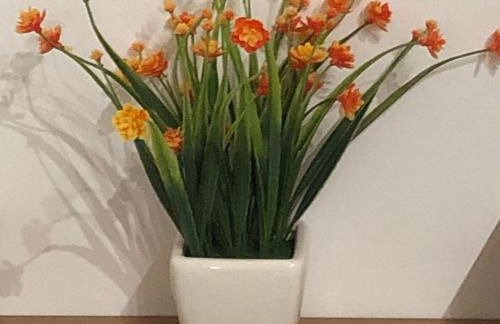 Casa Sipontina - Foto 19