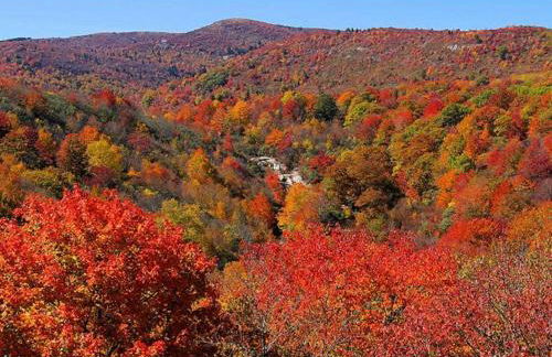 Lux Family Friendly Mountain Home - Foto 68