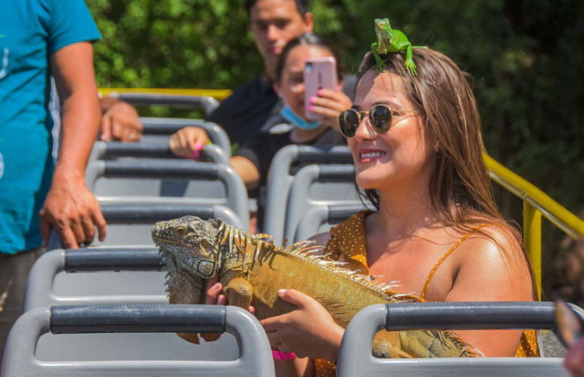 Puerto Vallarta Hop On Hop Off Bus - Photo 10