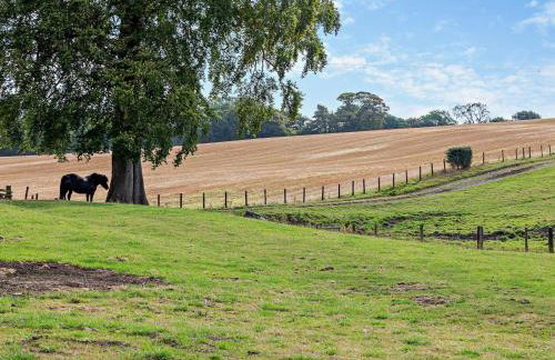 4 Bed in Spennymoor oc-95189 - Foto 22