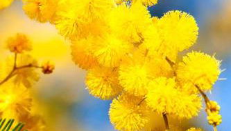 La Quiétude - Foto 2