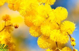 La Quiétude - Foto 2