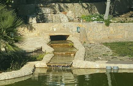 Quinta do Julião - Foto 14