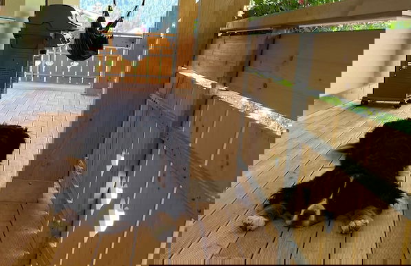 Chalet Hirschbach - Photo 45