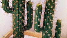 Apartamento Plaza Toros - Foto 5