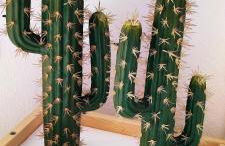 Apartamento Plaza Toros - Foto 5