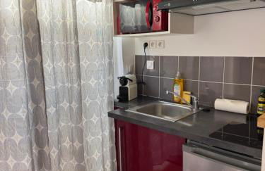 Perle Dazur Jacuzzi Suite Parking Prive 5min Mer - Foto 11