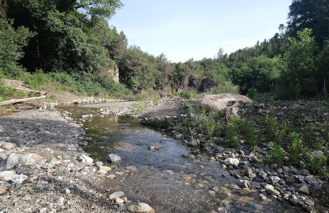 Antiche Dimore Di Vescovado - Foto 34