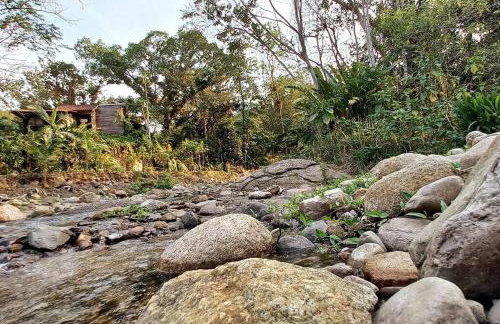 Casa com cachoeira-rio no quintal - Foto 38