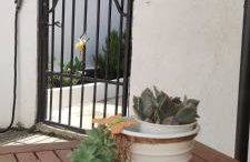 Littel studio Franceska - Foto 53