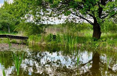 Apartamenty i Winnica - Siedlisko Na Polanie - Foto 63