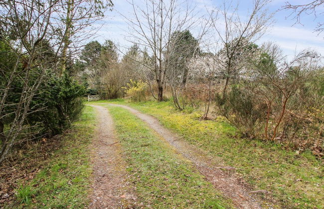 "Rakita" - 550m from the sea - Foto 2