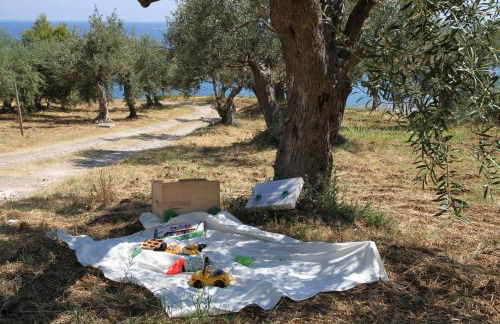 Tenuta Petreria - Foto 6