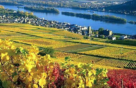 Gemütliche Ferienhaushälfte im Herzen Mainz - Foto 20