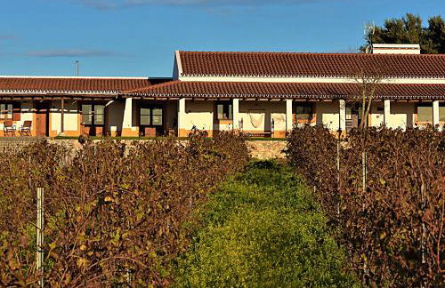 Turismo Rural Pedremoura - Foto 25