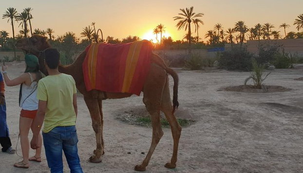 "Marrakech and Desert" Adventure of 7 days non stop. - Photo 4