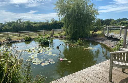 The DeerView Lodge - Foto 24