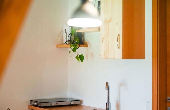 Loft-like Apartment With Swimming Pond - Photo 19