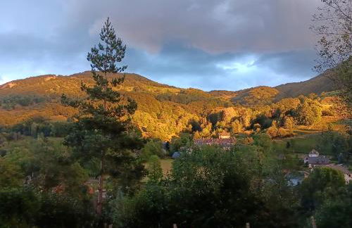 au massoubro - Photo 20