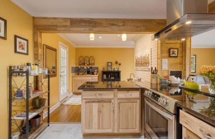 Asheville Sunset 10min to Asheville + Ping Pong - Foto 23