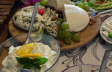 Sasek Mały # Pensjonat # Jazdy Konne - Foto 52