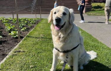In the Heart of Haight Ashbury 5 Bedroom House - Foto 39