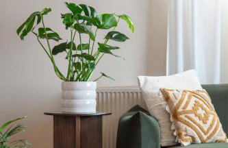 Acton Edition - Perfect for Groups - Foto 13