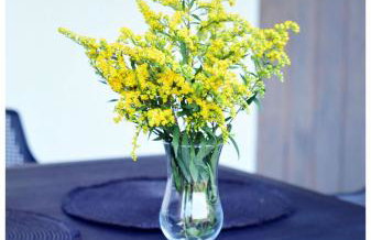 Krzaczasty Zakątek - Foto 41