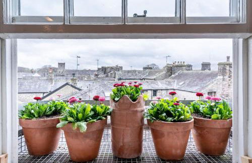 Royal View Apartments - Photo 41