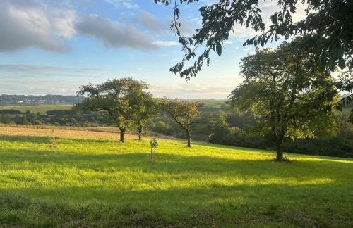 Ruhige Ferienwohnung auf dem Delcherhof in der Mosel-Weinregion - Foto 30