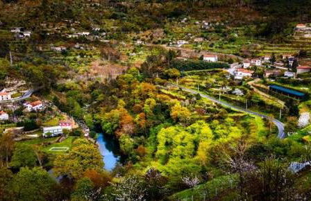 Douro Studio - Foto 65