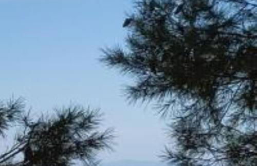 Villa les Pins - Foto 33