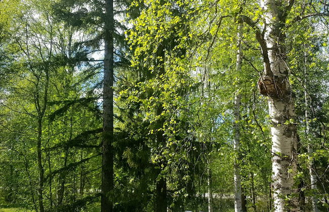 Kuukkeli Ivalo Arctic House - Foto 13