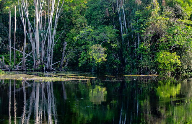 Tour de 5 días por el río Arapiuns - Foto 1