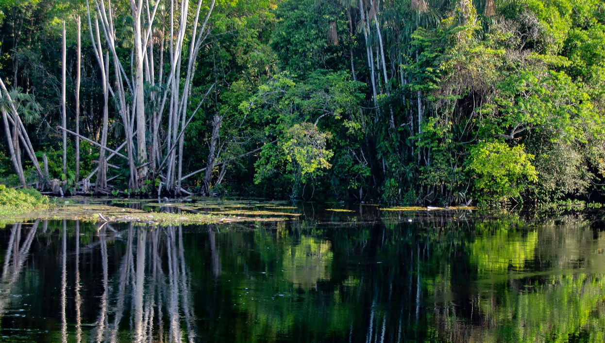Tour de 5 dias pelo rio Arapiuns
