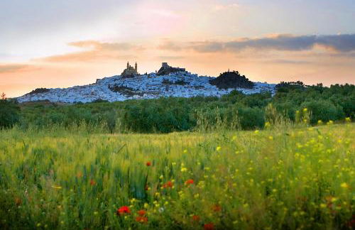 Casa Isabela Olvera - Foto 20