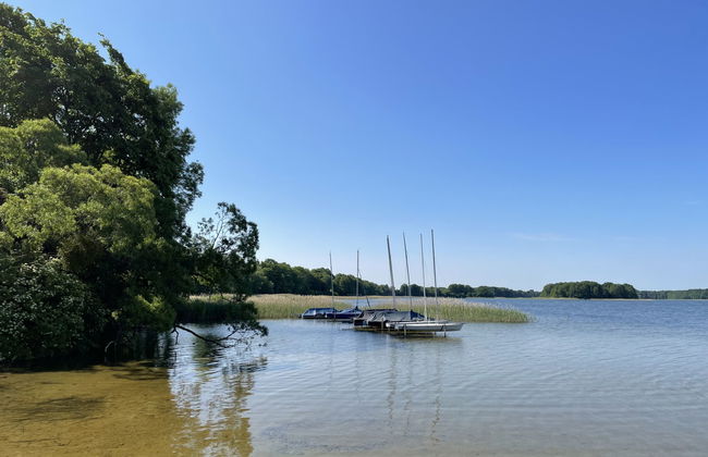 Wald und See - Foto 23