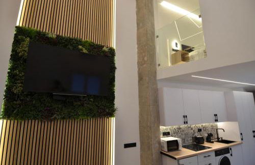 BIBLIOTECA DE LUJO EN EL CENTRO HISTORICO DE MÁLAGa - Photo 21