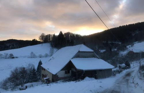 Maison pittoresque à Sainte-Croix-aux-Mines, vue sur la montagne - Foto 73