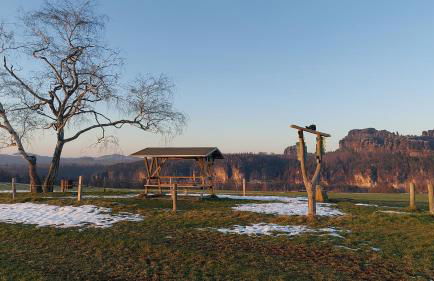 Apartment am Hochwald - Foto 22