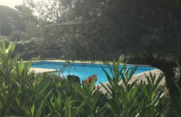 Appt T2 Standing avec Piscine et Terrasse - Foto 1