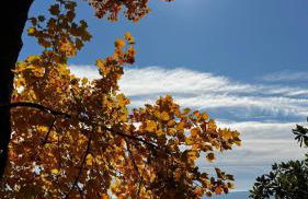 A CASA DI SISSI - Foto 32