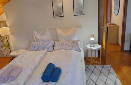 Dachwohnung - Foto 1