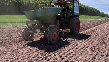 Haflinger Hof Detig - Photo 5