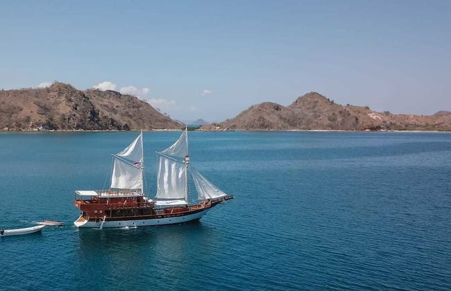 Helena Liveaboard - Foto 19