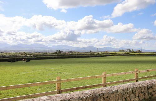 Mynydd Mwyn - Foto 32