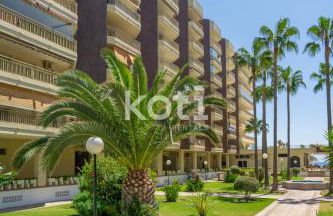 Koti Rentals - Doña Sofía - Foto 23