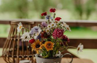 Brzozowa Polana - Foto 14