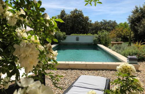 LES SANTOLINES - Studio Retro - Foto 1