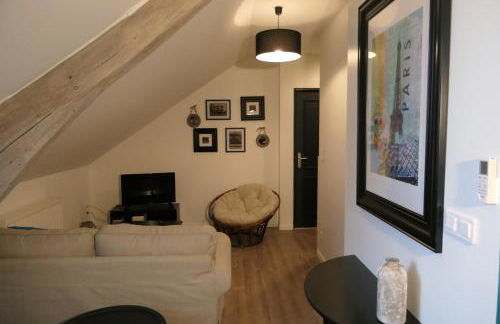 La maison Virginie appartements de 1 à 5 pers cosy central parking gratuit linge fibre proximité port lac canal piscine - Photo 40